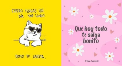 Stickers de "feliz inicio de semana" para enviar al chat familiar de WhatsApp