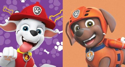 Stickers de Paw Patrol para decorar una libreta: imágenes para imprimir y pegar