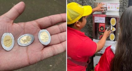 Monedas del Zoológico de Chapultepec: precio, modelos y cómo grabar la tuya