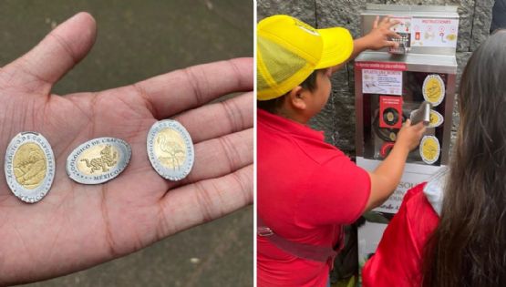 Monedas del Zoológico de Chapultepec: precio, modelos y cómo grabar la tuya