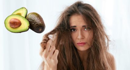 La mascarilla de aguacate que te ayudará a reparar tu cabello seco y maltratado