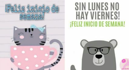 Stickers de feliz inicio de semana para llenar a tu familia de bendiciones por WhatsApp