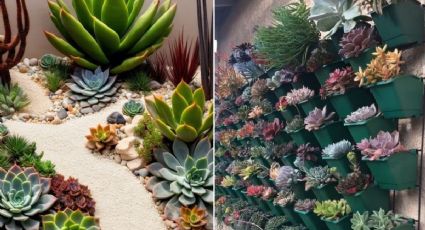 Ellos se atrevieron a crear un hermoso jardín con cactus y piedras: ideas para crear el tuyo