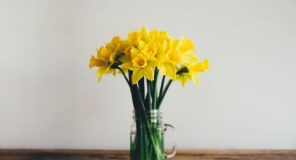 ¿Qué significa regalar flores amarillas a una mujer el 21 de septiembre?