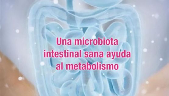 Una microbiota intestinal sana  ayuda al metabolismo