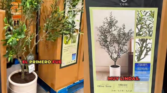 Costco finds: 3 plantas artificiales para decorar el salón o dormitorio