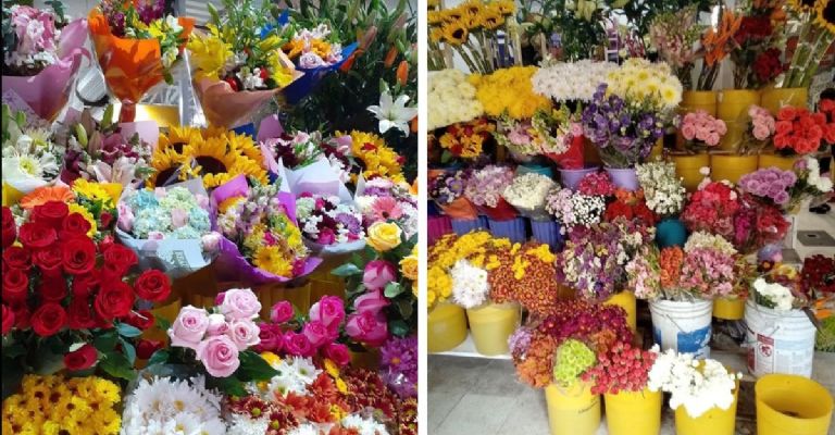 Mercado Independencia para comprar flores el 14 de febrero