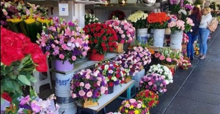 Mercado de flores San Ángel para comprar flores el 14 de febrero