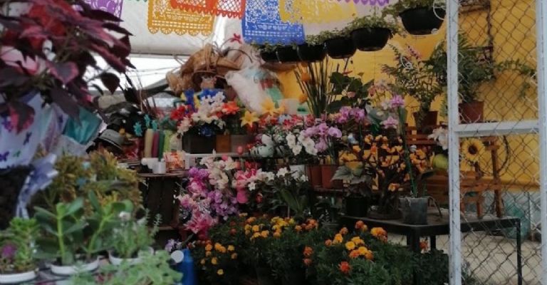 Mercado de flores San Luis Tlaxialtemalco para comprar flores el 14 de febrero