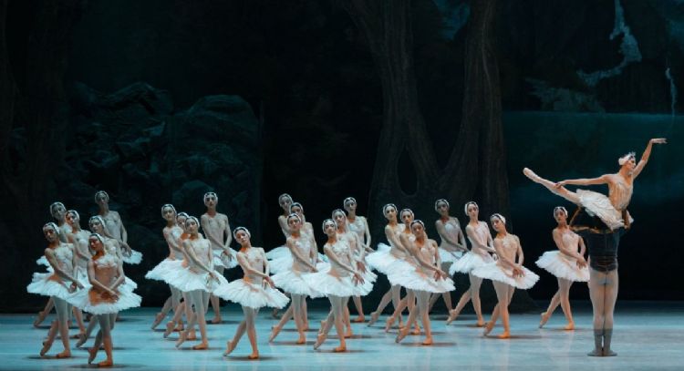 ¿Dónde puedo ver el ballet El Lago de los Cisnes? Transmisión en vivo gratis en febrero 2025