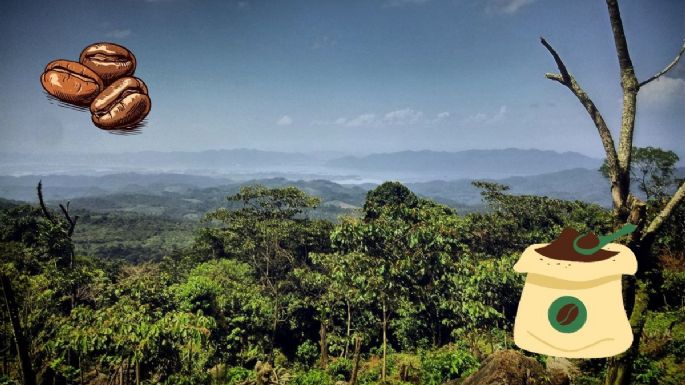 Visita Rancho Grande, el paraíso cafetalero para disfrutar los paisajes más bonitos de México