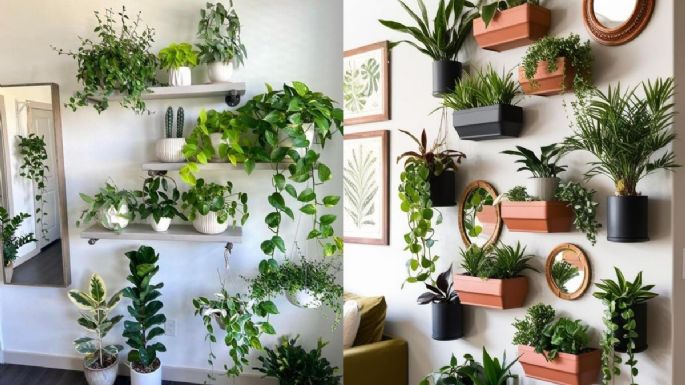 Crea un jardín en tu pared: 5 ideas con plantas y macetas