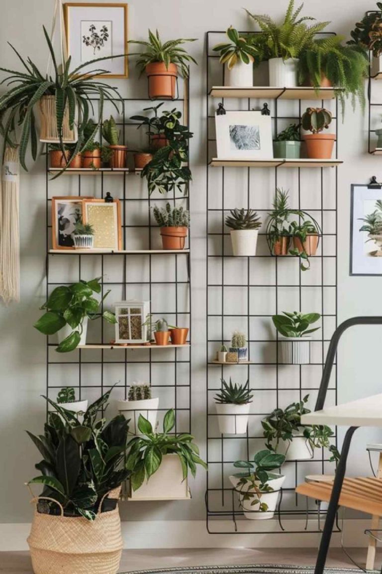 Cómo se llaman las plantas para interiores