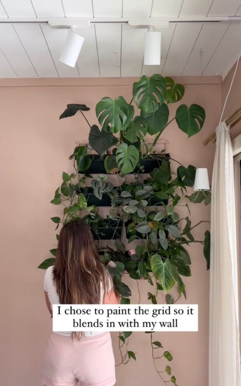 Decorar la pared con planta Monstera