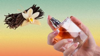 Cómo oler a vainilla: perfumes y cremas para que huelas rico