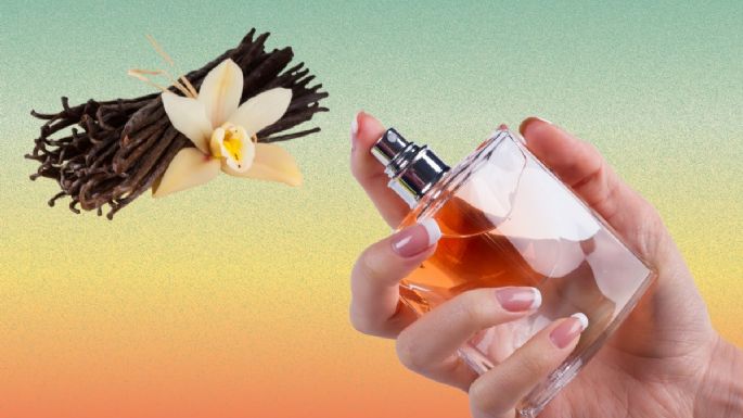 Cómo oler a vainilla: perfumes y cremas para que huelas rico