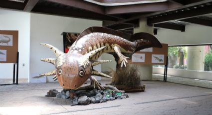 Museo Nacional del Ajolote CDMX: Ubicación y todo lo que debes de saber sobre este recinto