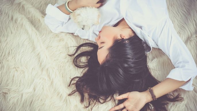 ¿Cuántas horas debe dormir un adulto?