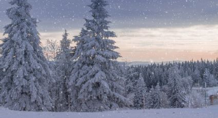 3 destinos con nieve en México para visitar antes de que termine el inverno