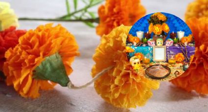 Así puedes hacer flores de papel para Día de Muertos | PASO a PASO