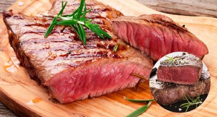 ¿Cuáles son los tipos de términos de carne que existen?