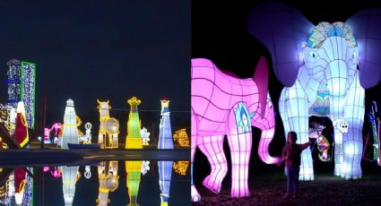 Brilla Fest 2022: cuándo y cómo disfrutar el festival de luces navideñas en Parque Naucalli