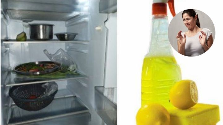 ¿Por qué la comida sabe a refrigerador y cómo quitar ese sabor?