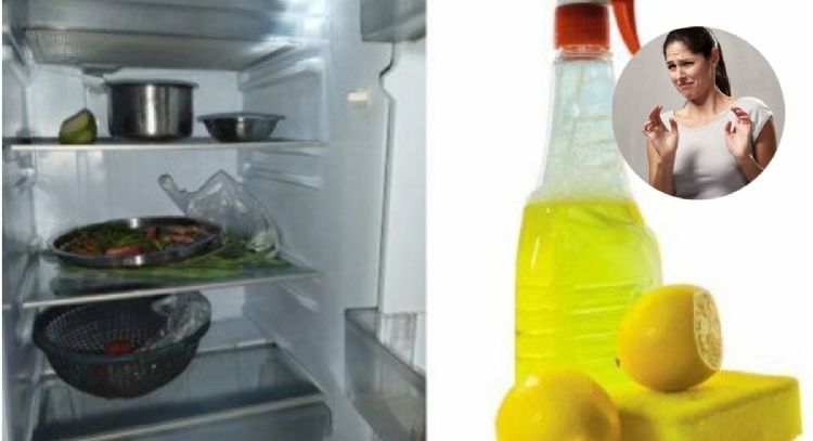 ¿Por qué la comida sabe a refrigerador y cómo quitar ese sabor?