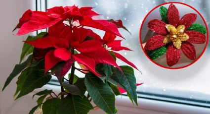 ¿Cómo hacer una flor de Nochebuena con limpiapipas? Tutorial PASO a PASO