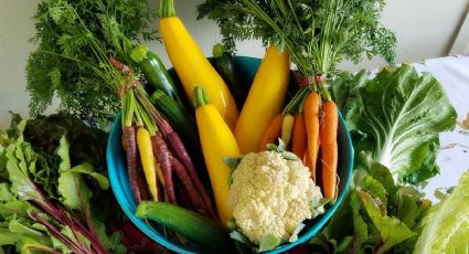 ¡No la tires! Aprovecha los beneficios del agua donde cocinas tus verduras