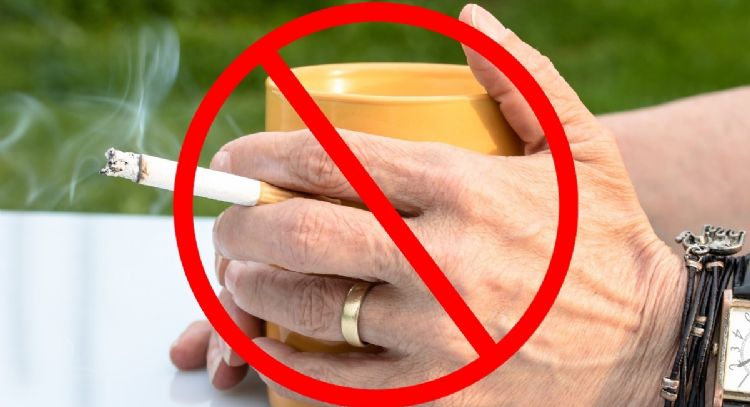 ¿Cuáles son los alimentos que están relacionados con el cáncer?