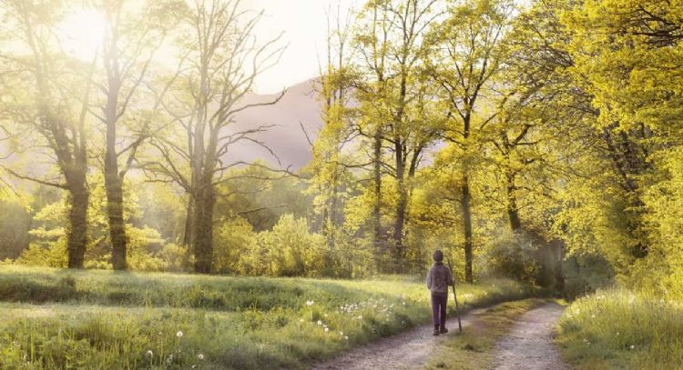 Levántate de esa silla: caminar te ayuda a ser más creativo y feliz