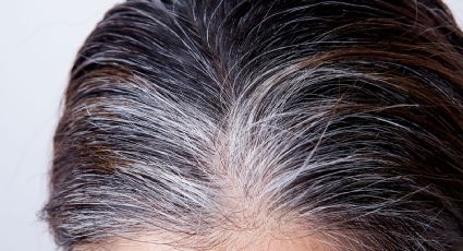 Canas prematuras: ¿por qué aparecen y cómo prevenirlas?