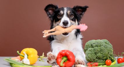 5 verduras que puedes darle de comer a tu perro