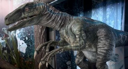 Jurassic World Dominio presenta a Blue la velocirraptor en CDMX, ¿dónde verla?