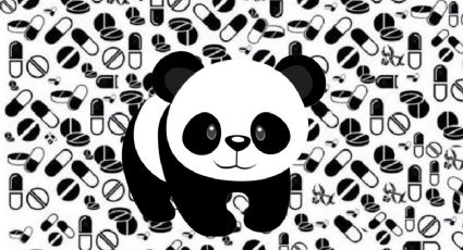 Acertijos visuales: encuentra al panda en la imagen en menos de 30 segundos, ¿podrás?