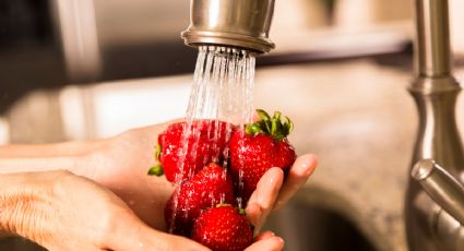 ¿Cómo lavar las fresas correctamente? Evita la hepatitis A y otras enfermedades