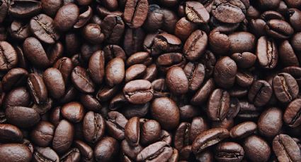 5 trucos para disminuir tu consumo de cafeína y no dormirte en el intento
