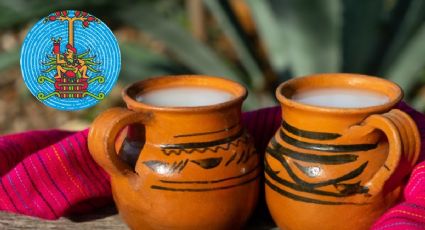 Gran Festival del Pulque CDMX: precio, dónde ir y acampar para ver globos aerostáticos