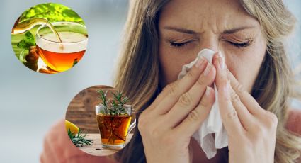 3 infusiones de hierbas naturales para la congestión nasal por gripe