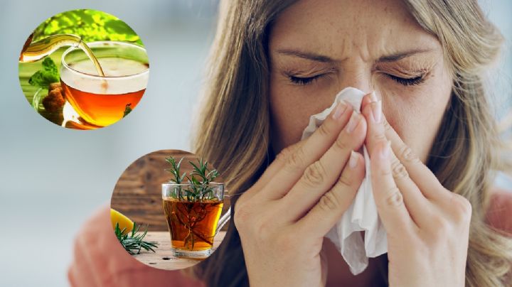 3 infusiones de hierbas naturales para la congestión nasal por gripe