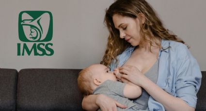 5 consejos para llevar la lactancia materna sin dolor, según el IMSS