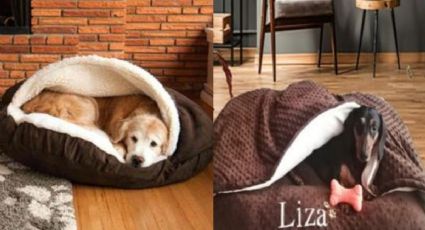 3 ideas para hacer una cama para perro y consentir a tu lomito