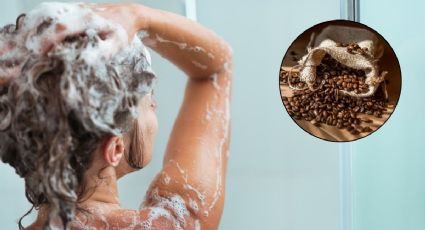 ¿Qué hace el shampoo de cafeína?