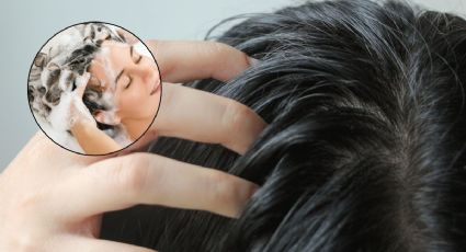 Dos ingredientes naturales que debes usar si tienes el cabello graso: lo limpian e hidratan