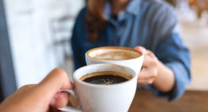 Las MEJORES marcas de café soluble, según Profeco