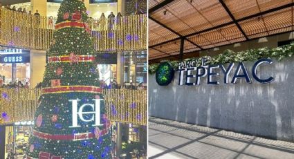 Visita los 3 árboles de Navidad más grandes y bonitos de centros comerciales en CDMX