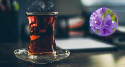 Té de bugambilia con miel para sacar las flemas: beneficios y cómo prepararlo