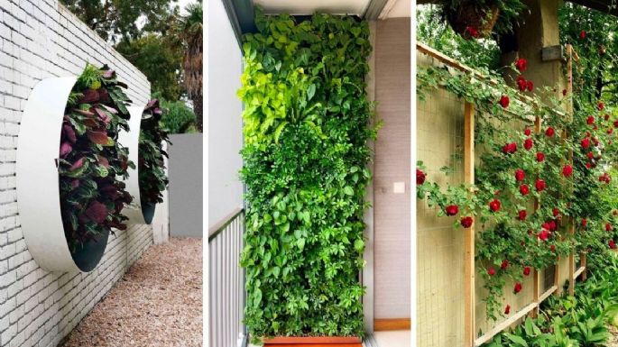 Remodela tu jardín con estas 4 ideas para crear un muro verde en la pared