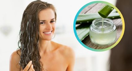 La mascarilla de sábila para hidratar el cabello seco y maltratado